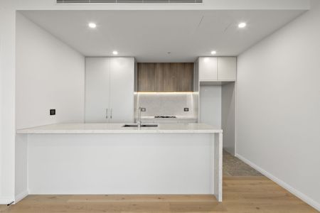 Luxury Oversized Apartment with Spectacular Views in Downtown Zetland - Photo 4