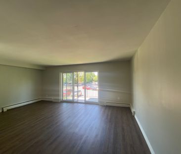 Three Bedroom Apartment - Photo 1
