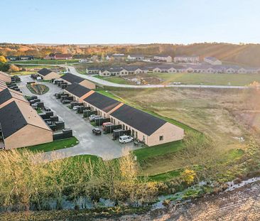 Moderne 2-værelses rækkehus til leje i Silkeborg - Photo 2