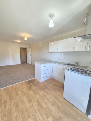 1 Bedroom, 1 Bathroom, 1 Prime Location! - Photo 1