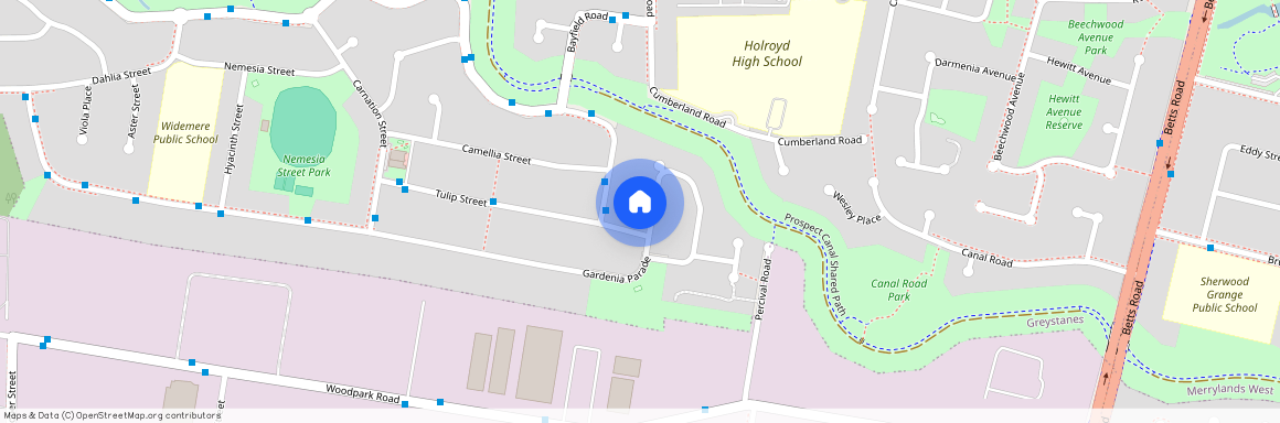 152 GARDENIA PARADE, NSW 2145, Greystanes