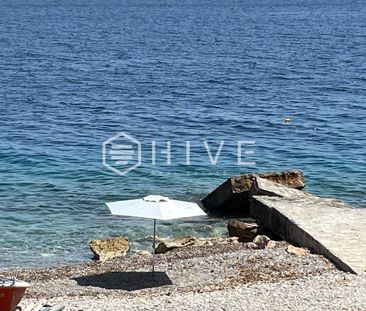 Μονοκατοικία για ενοικίαση Σαρανταπηχιώτικα (Ευρωστίνη) - Photo 1