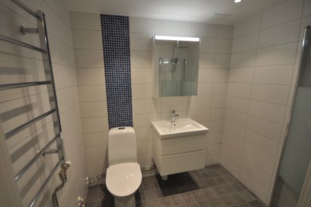 Dag Hammarskjölds väg, Lund - Photo 5