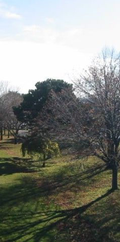 120 Jameson Avenue - Photo 1