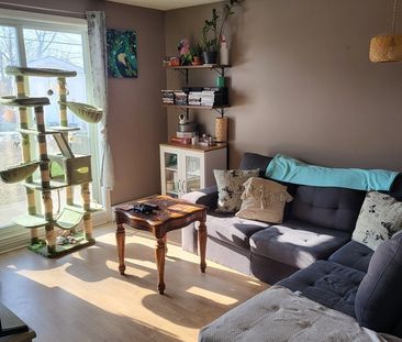 Appartement 1 Chambres à Louer - Photo 1