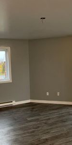 Beau 4 1/2 libre maintenant à Ste-Catherine (rive-sud de Mtl) - Photo 3