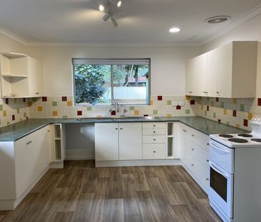 Renovated Home, Large Backyard - Photo 1