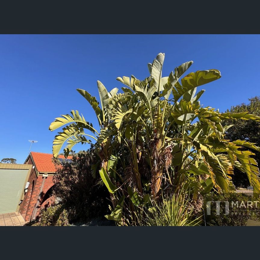 51 Maxlay Road, Modbury Heights, SA 5092 - Photo 1