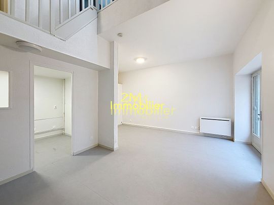 Location Appartement 1 pièce 43m² - Photo 1