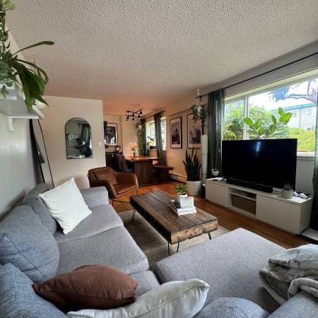 Kitsilano, 2 Bed,1 Bath, Garden Level, Hardwood Flrs - Photo 1