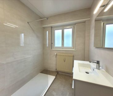 Beau 2/3 pièces au calme à Horbourg-whir – chauffage inclus - Photo 2