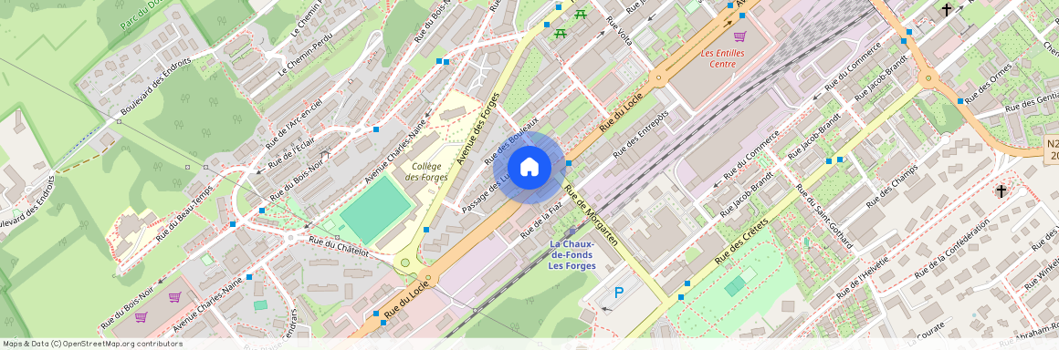 2300, La Chaux-de-Fonds, Rue Du Locle, 26