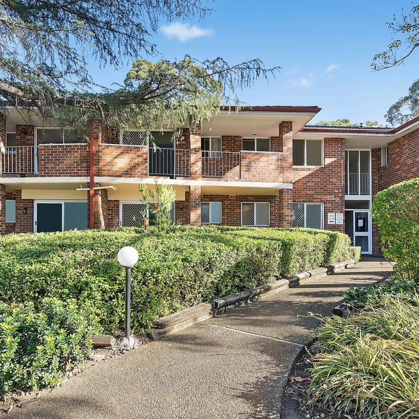1/464 Pacific Highway, Lane Cove North NSW 2066 - Apartment For Rent | Domain - Photo 2