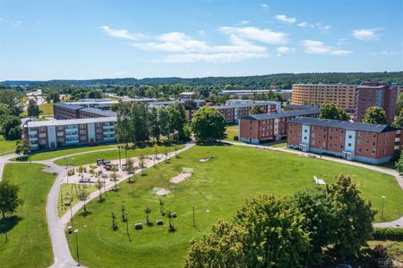 Timmermansgatan 100 - Foto 4