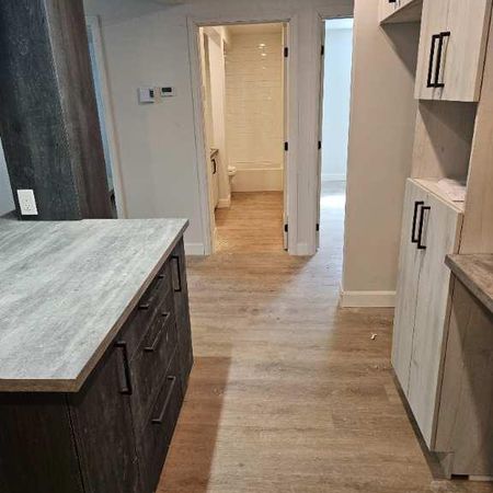 4 et demi neuf - Jamais habité - Limoilou (Près du centre Vidéotron et première Avenue) - Photo 3