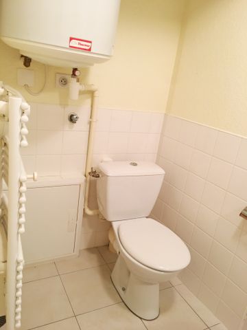 Location Appartement 1 pièce 18m² ARCIS SUR AUBE 10700 - Photo 3