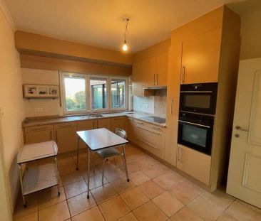 Ruime gezinswoning met tuin - centrum Werchter - Photo 6