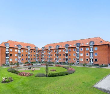 Afd. 23 Kodammen 6 - Photo 6