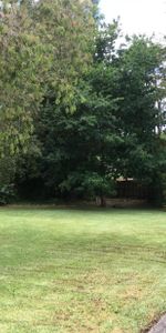 Fully renovated units - Photo 4