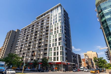Appartement à louer - Montréal (Ville-Marie) (Centre) - Photo 5