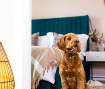 3 bedroom flat to rent - Photo 2