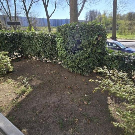 TOP renov. EG Wohnung / Balkon und Küche in Bulmke Hüllen - Photo 1