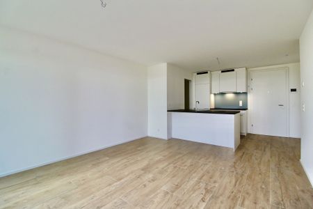 Appartement récent et lumineux de 2 pièces, avec vue et grande terrasse - Photo 5