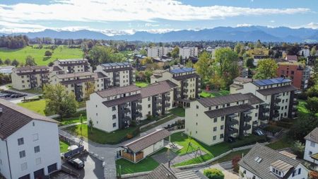 Profitez du soleil du soir - Photo 4