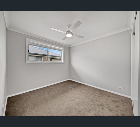 2 Lilium Street, Lochinvar, NSW 2321 - Photo 4