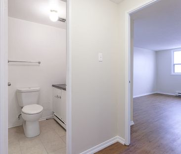 285 Loretta Ave S, Hintonburg - Mechanicsville, Ottawa, ON - Photo 6