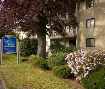 Sand Dollar Manor | 450 Stewart Avenue Unit, Nanaimo - Photo 1