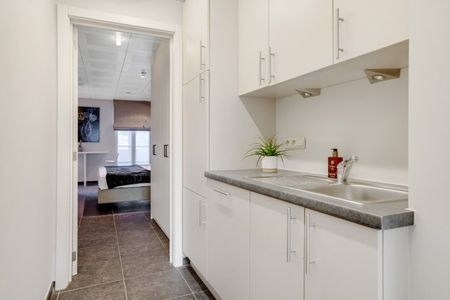 Gemeubelde gelijkvloerse studio in het centrum van Kasterlee-Lichtaart! - Foto 5