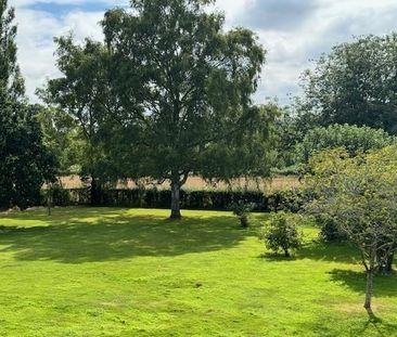 1 bedroom terraced house to rent - Photo 6