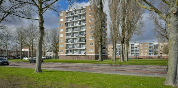 Zuidervaart 0ong, 1504 Zaandam, Nederland - Foto 2