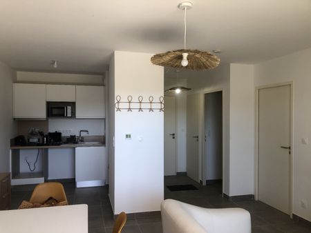 Location Appartement 2 pièces 42m² SAUVIAN 34410 - Photo 5