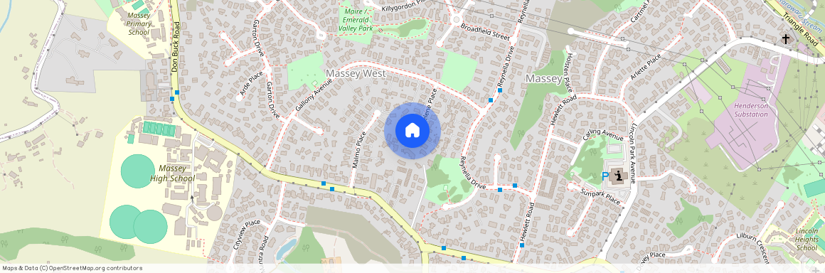 19 Raelene Place, Massey, Auckland