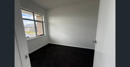 BRAND NEW & READY TO MOVE IN - MODERN FAMILY LIVING IN HEDDON GRETA - Photo 4