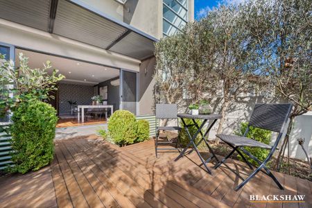 Single-Level Sophistication with Courtyard Elegance - Photo 2