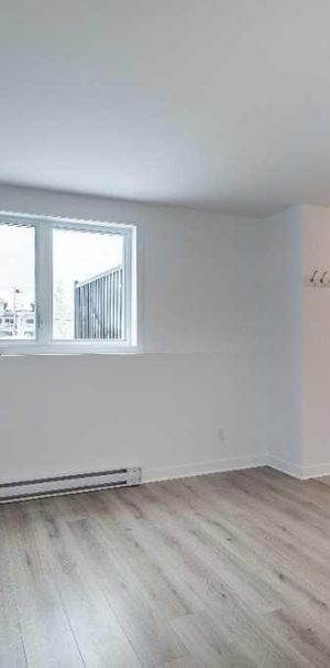 Logement 3 1/2 - Janvier 2025 - Photo 1