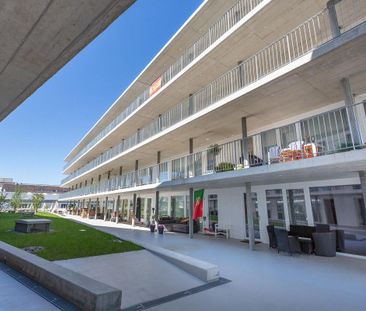 Attraktive 2.5 – Zimmerwohnung im Wendepark - Photo 1