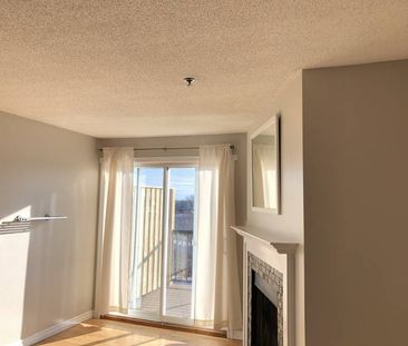 Modern 2 Bedroom, 1.5 Bath Condo on John Parr Drive! - Photo 3