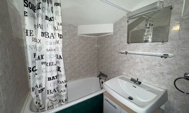 Location Appartement 1 pièce LIMOGES (87000) - Photo 1