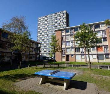 Chambre Ina Boudier-Bakkerlaan, Utrecht - À louer - Foto 3
