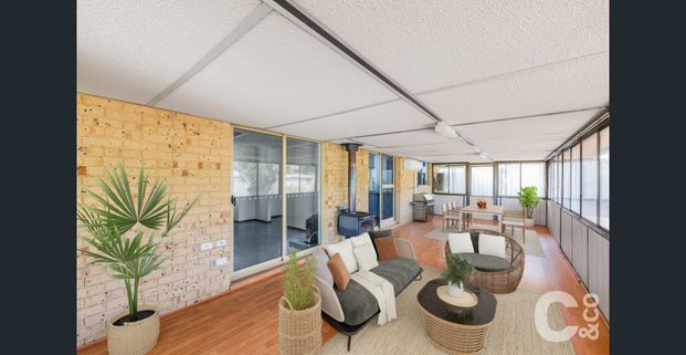 Freshly Painted 3 x 1 with Powered Shed! - Photo 1