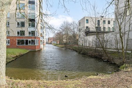 Palladiostraat 5, Prinsenland, 3066AH, Rotterdam - Photo 4