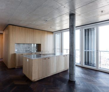 Spektakuläres Penthouse mit Panoramablick über Basel - Photo 3