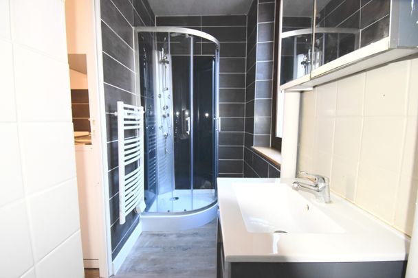 Location Appartement 2 pièces 37m² SCHILTIGHEIM 67300 - Photo 1