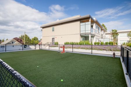 1008 Pandora Avenue, Victoria - Photo 3
