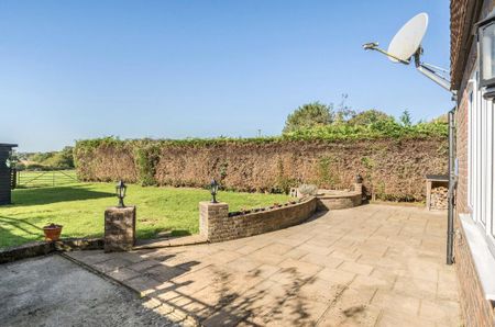 4 bedroom semi-detached house to rent - Photo 2