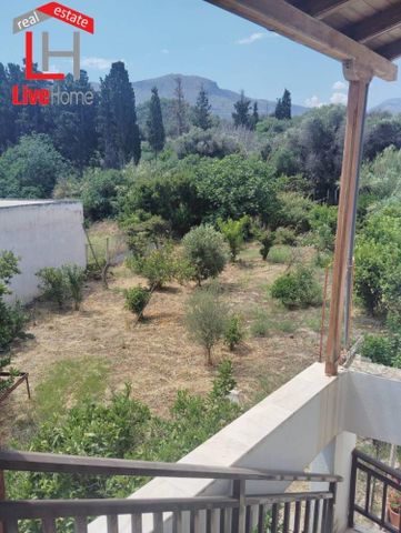 Μονοκατοικία για ενοικίαση Λυκοποριά (Ευρωστίνη) - Photo 4